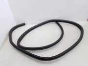 Dichtungsgummi der hinteren Tür (an der Karosserie) FORD MONDEO IV Sedan (BA7) 1.6 Ti