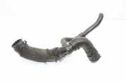 Schlauch Kühlung AUDI TT (8N3) 3.2 VR6 quattro 8N0122101E