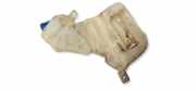Fensterwaschtank AUDI A4 Avant (8D5, B5) 2.5 TDI 8D0955453B