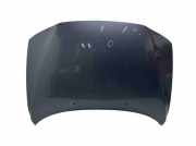 Motorhaube Volvo V70 II (285)