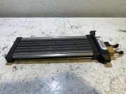 Elektrischer Schulterschulterkühler AUDI A4 (8EC, B7) 2.0 TDI 2004202