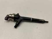 Düsenstöcke Nissan Pathfinder III (R51) 8973762703