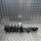 Stoßdämpfer vorne rechts FORD TRANSIT Furgon 2.0 TDCi [RWD] BK31-18045-ND