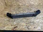 Ladeluftkühler MERCEDES-BENZ E (W211) E 320 CDI (211.022) 99000027 8ML376723391