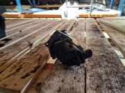 AGR-Ventil CHEVROLET CAPTIVA (C100, C140) 2.0 D 4WD