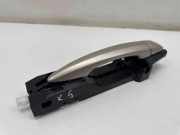 Türaußengriff hinten links NISSAN X-TRAIL IV (T33) 1.5 VC-T Mild Hybrid