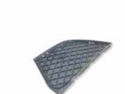 Gitter vorne unten BMW X3 (E83) xDrive 30 d 51113416205
