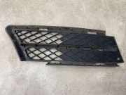Gitter vorne unten BMW 3 (E90) 320 i 339712
