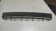 Gitter vorne unten TOYOTA AVENSIS Estate (_T25_) 2.0 D-4D (CDT250_)