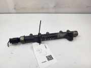 KRAFTSTOFFVERTEILER EINSPRITZLEISTE VERTEILERROHR CITROËN C4 CACTUS 1.6 HDi 90 9685297580
