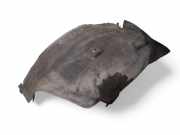 Innenkotflügel vorne rechts CITROËN C5 III Break (TD_) 2.0 HDi