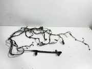 Kabelbaum Innenverkleidung BMW X4 (G02, F98) xDrive20d 2462623