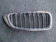 Vorderer oberer Gitter BMW 4 Gran Coupe (F36) 420 d 7294818