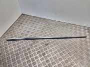 Zierleiste Windschutzscheibe Frontscheibe FORD S-MAX 2.0 TDCi