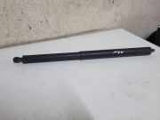 Heckklappe Gasdruckfeder links MERCEDES-BENZ M (W164) ML 320 CDI 4-matic (164.122) A1647400345
