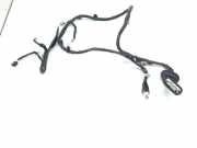 Kabel Tür Lexus IS 3 (E3) 8215453151B