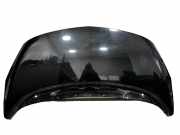 Motorhaube OPEL MERIVA B 1.3 CDTI 1103M