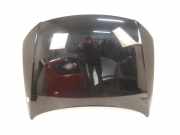 Motorhaube VW Passat B6 (3C2)