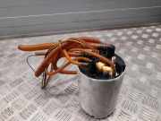 Kraftstofftankpumpe PORSCHE PANAMERA (970) 4.8 4S