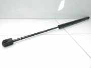 Heckklappe Gasdruckfeder links OPEL ASTRA G Hatchback (F48_, F08_) 1.7 DTI 16V 2310700