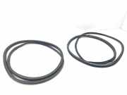 Türgummi links vorne Nissan 350 Z Roadster (Z33)