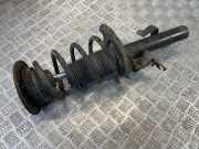 Stoßdämpfersatz Vorderachse Ford Galaxy (CK)