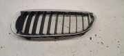Vorderer oberer Gitter BMW 6 (E63) 630 i 51137008915