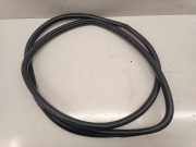 Türdichtung Lexus NX 1 ()