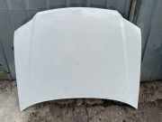 Motorhaube VW Caddy II Van (9K9B) 1T0823031D