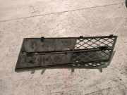 Kühlergrill unten BMW 5er (F10) 51117200700