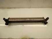 Ladeluftkühler SKODA ROOMSTER (5J) 1.6 TDI 6R0145805