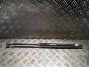 Heckklappe Gasdruckfeder links MERCEDES-BENZ VIANO (W639) CDI 2.2 A6399800164 6399800164