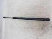 Heckklappe Gasdruckfeder links TOYOTA COROLLA Verso (_E12_) 2.0 D-4D (CDE120_) 689500F011