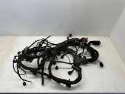 Motor Kabelbaum AUDI A6 Avant (4F5, C6) 2.0 TFSI 4F1971284k