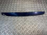 Kennzeichenbeleuchtung Verkleidung