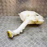 Fensterwaschtank CHRYSLER SEBRING (JS) 2.0 VVT 05116309AC