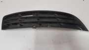 Kühlergrill unten VW Passat B5 (3B2) 3C0853666