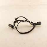 Kabelbaum FORD KUGA III (DFK) 1.5 EcoBlue LX6T17A611EAD