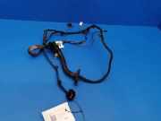 Türverkabelung hinten rechts