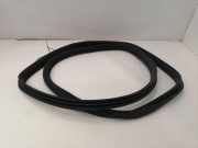 Türdichtung Mercedes-Benz C-Klasse (W203) A2036972551