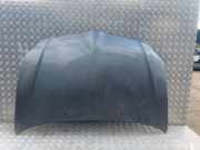 Motorhaube TOYOTA COROLLA (_E12_) 2.0 D-4D (CDE120R_, CDE120L_)