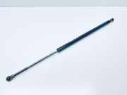 Heckklappendämpfer rechts BMW X5 (E53) 8402405