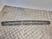 Gitter vorne unten TOYOTA RAV 4 III (_A3_) 2.2 D 4WD (ALA30_) 5311242040