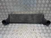 Ladeluftkühler BMW X5 (E53) 3.0 d 7791231