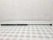 Gasfeder für Motorhaube VW Passat B5 (3B2)