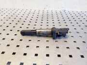 Zündspule BMW X5 (E53) 1712219