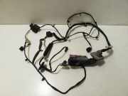 Kabel der vorderen linken Tür OPEL ZAFIRA TOURER C (P12) 1.4 20803673 20803663