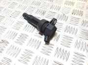 Zündspule HYUNDAI TUCSON (TL, TLE) 1.6 T-GDi 273012B100