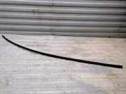 Dachzierleiste links Lancia Musa (350)