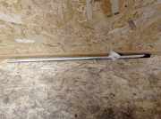 Türverkleidung links hinten Citroen C5 III (RD)